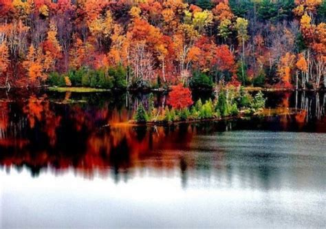 Michigan Pictures That Will Make Your Fall Wallpaper Jealous