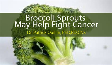 Broccoli Sprouts May Help Fight Cancer Getting Healthier