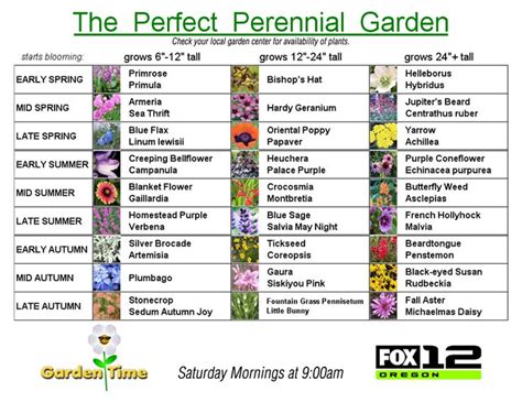 The Perfect Perennial Garden Perennial Garden Perennials Flowers Perennials