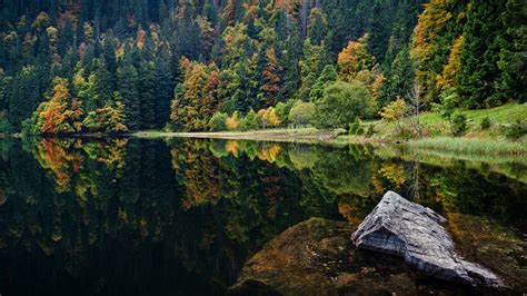 Heavens On Earth Black Forest Mountain Region Germany And Black