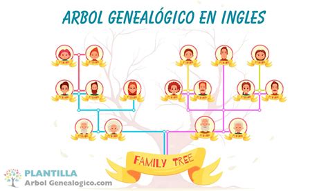 Árbol Genealógico En Ingles ️ Vocabulario De La Familia