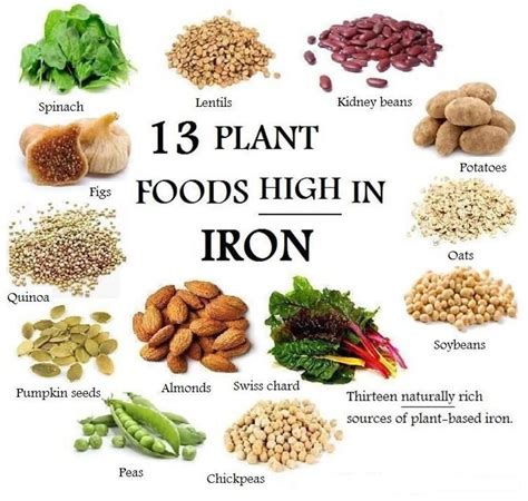 11 Best Iron Rich Food For Vegetarians Vegan Nutrition Foods High In