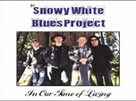 The Snowy White Blues Project – In Our Time Of Living (2008, CD) - Discogs