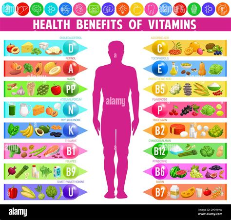 Benefits And Sources Of Vitamins And Minerals Vector Infographic Chart