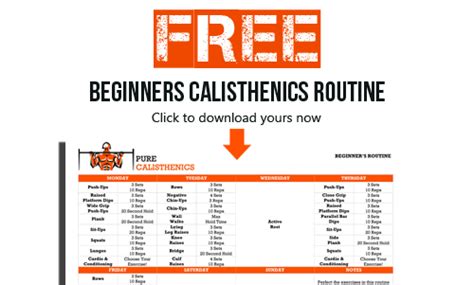 Calisthenics Workout Routine For Beginners Pure Calisthenics