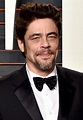 Benicio Del Toro to Star in Oliver Stone's WHITE LIES | The ...