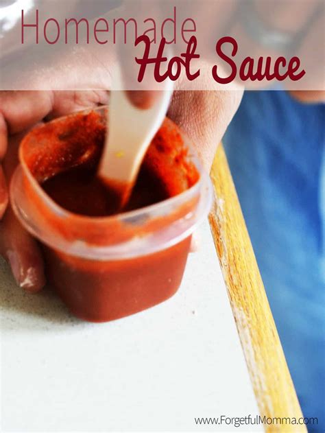 Super Easy To Make Homemade Hot Sauce Forgetful Momma