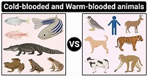 16 differences between Cold-blooded and Warm-blooded animals | Animal ...
