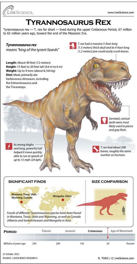 Allosaurus Facts For Kids Kids Matttroy