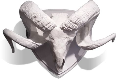 Metal Horns Gold Leaf Design Group Resin Ram Skull With Horns On