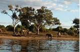 Botswana Vacation Packages Pictures