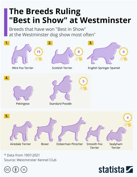 Dog Breed Chart Comparison