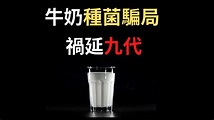 牛奶種菌騙局丨一時貪念為何竟禍連九代?丨別考驗人性丨時昔雲 - YouTube