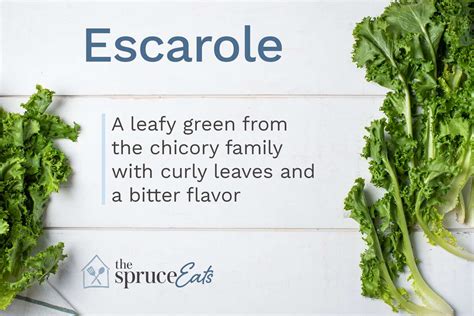 What Is Escarole