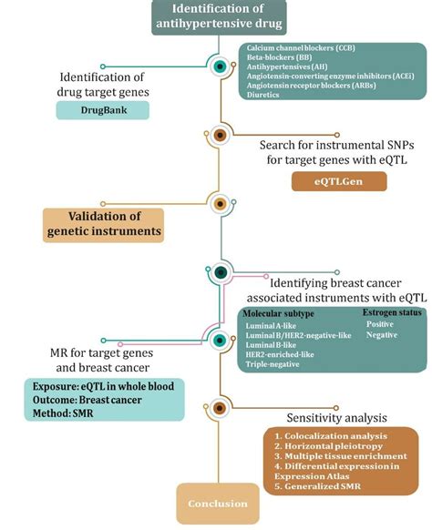 The Flowchart Of The Study Mendelian Randomization Smr Summarybased