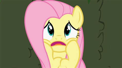 Image Fluttershy Scared By Isolation S2e01png My Little Pony