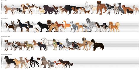What Is Considered A Large Dog Breed Petlife
