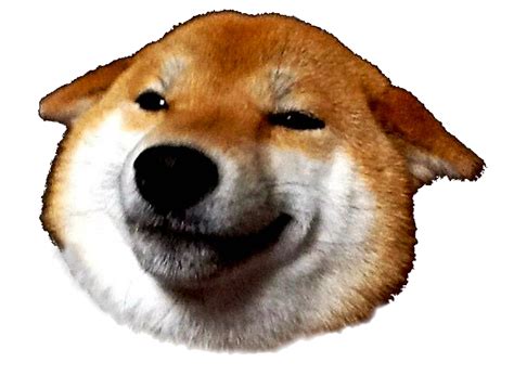 Doge Transparent Background Png