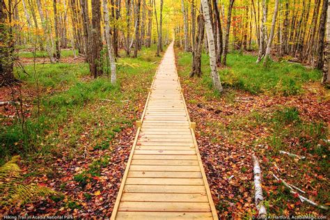 Acadia National Park Hiking Trail Boardwalk