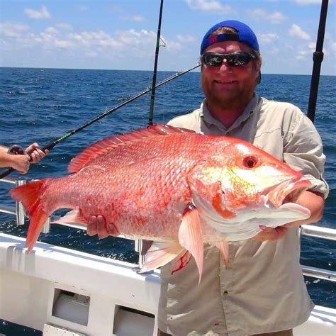 Orange Beach Florida Fishing Charters All About Fishing