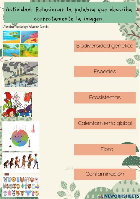 Ejercicio De El Valor De La Biodiversidad La Biodiversidad Formatos