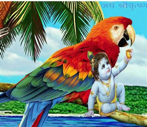 Pin By Kuldeep Bajwa On Hindu God Hindu Gods Bird Animals