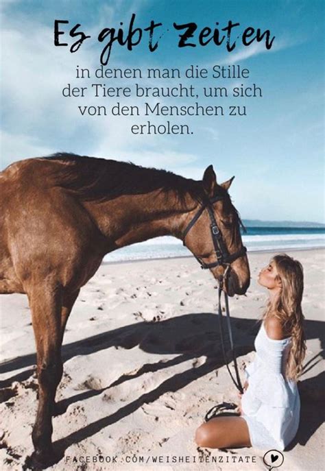 Check spelling or type a new query. Pin von Kerstin Steinke auf sprüche | Pferde zitate, Sprüche zitate, Lebenslektionen