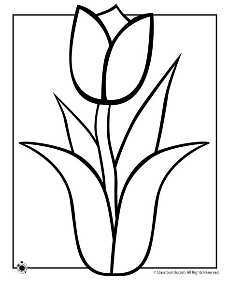 Gorgeous spring coloring pages for kids and adults to color, including beautiful flowers, cute baby animals, easter eggs, rainy day pictures, and more! Tulip Coloring Pages | Print Color Craft