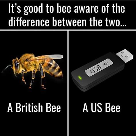 A Us Bee 9gag