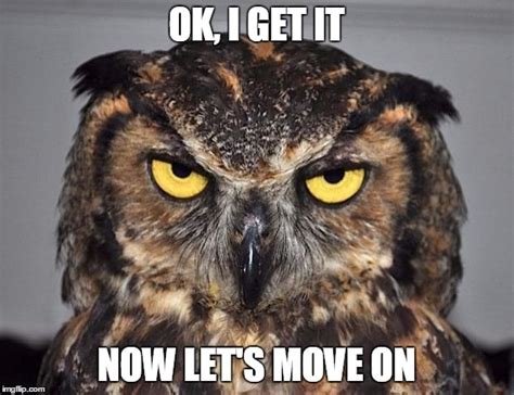 Angry Owl Imgflip