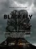Black Fly - Film 2014 - FILMSTARTS.de