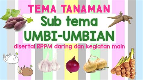 Bdr Tema Tanaman Sub Tema Umbi Umbian Youtube