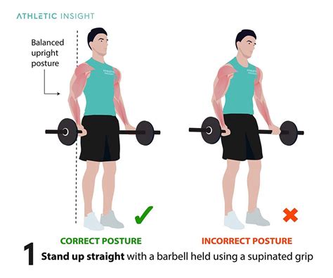 How To Do Barbell Curl Variations Proper Form Techniques Barbell