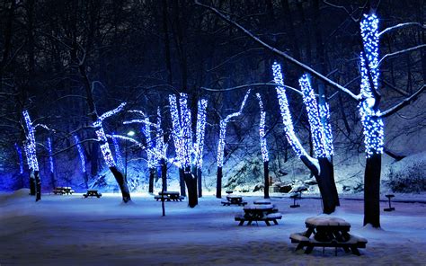 Beautiful Winter Night Wallpaper Pixelstalknet