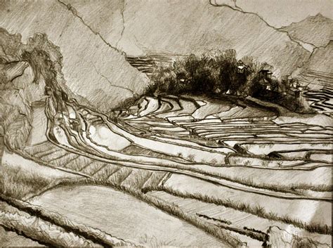 Banaue Rice Terraces Sketch At Explore Collection