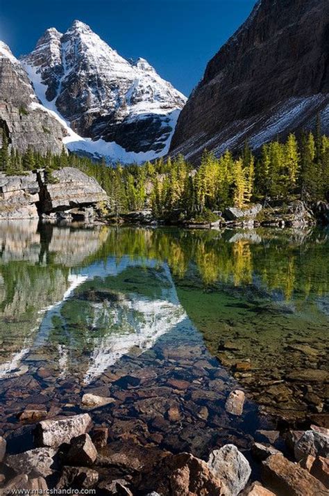 Victoria Lake In Yoho National Park Canada Nature Pinterest