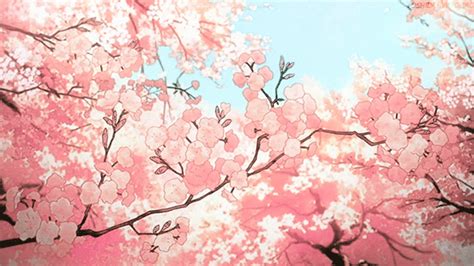 We did not find results for: 吉田翠子­ SEMI-HIATUS | Anime background, Anime scenery, Anime cherry blossom