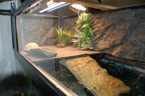 Basking Area Idea For Aquatic Turtles Pets Turtle Aquarium Aquatic