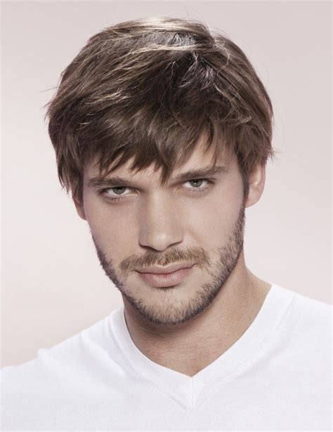 Synthetic Straight Mens Hair Wigs Best Wigs Online Sale