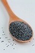 poppy seeds macro 1 Free Photo Download | FreeImages