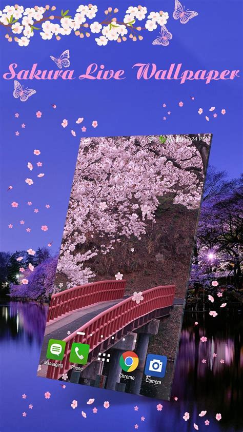 Sakura Live Wallpaper Apk للاندرويد تنزيل