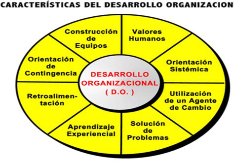Desarrollo Organizacional Que Es Etapas Objetivos Y Caracteristicas Images