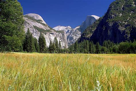 Hd Wallpaper Green Grass Field Near Mountain Yosemite National Park