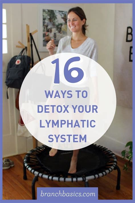 16 Ways To Detox Your Lymphatic System Artofit