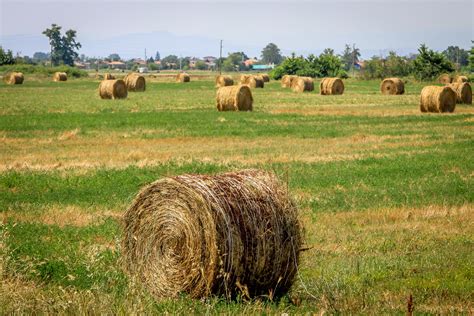 Free Images Landscape Nature Outdoor Plant Sun Hay Field Farm