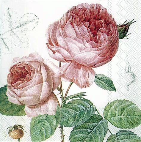 Event Paper Napkins Vintage Roses