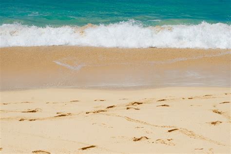 Free Images Beach Ocean Sand Sea Seashore Water Wave Waves