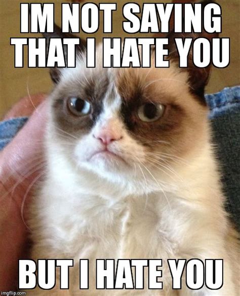 Grumpy Cat I Hate You 28 Images I Hate Grumpy Cat Memes Image