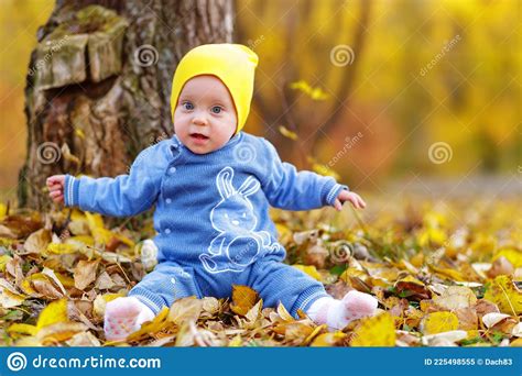 Kids Play In Autumn Park Stock Image Image Of Girl 225498555