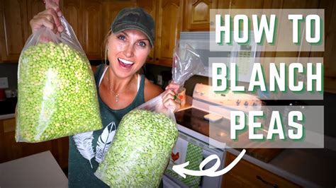 How To Blanch Peas Blanch Peas For Freezing Youtube